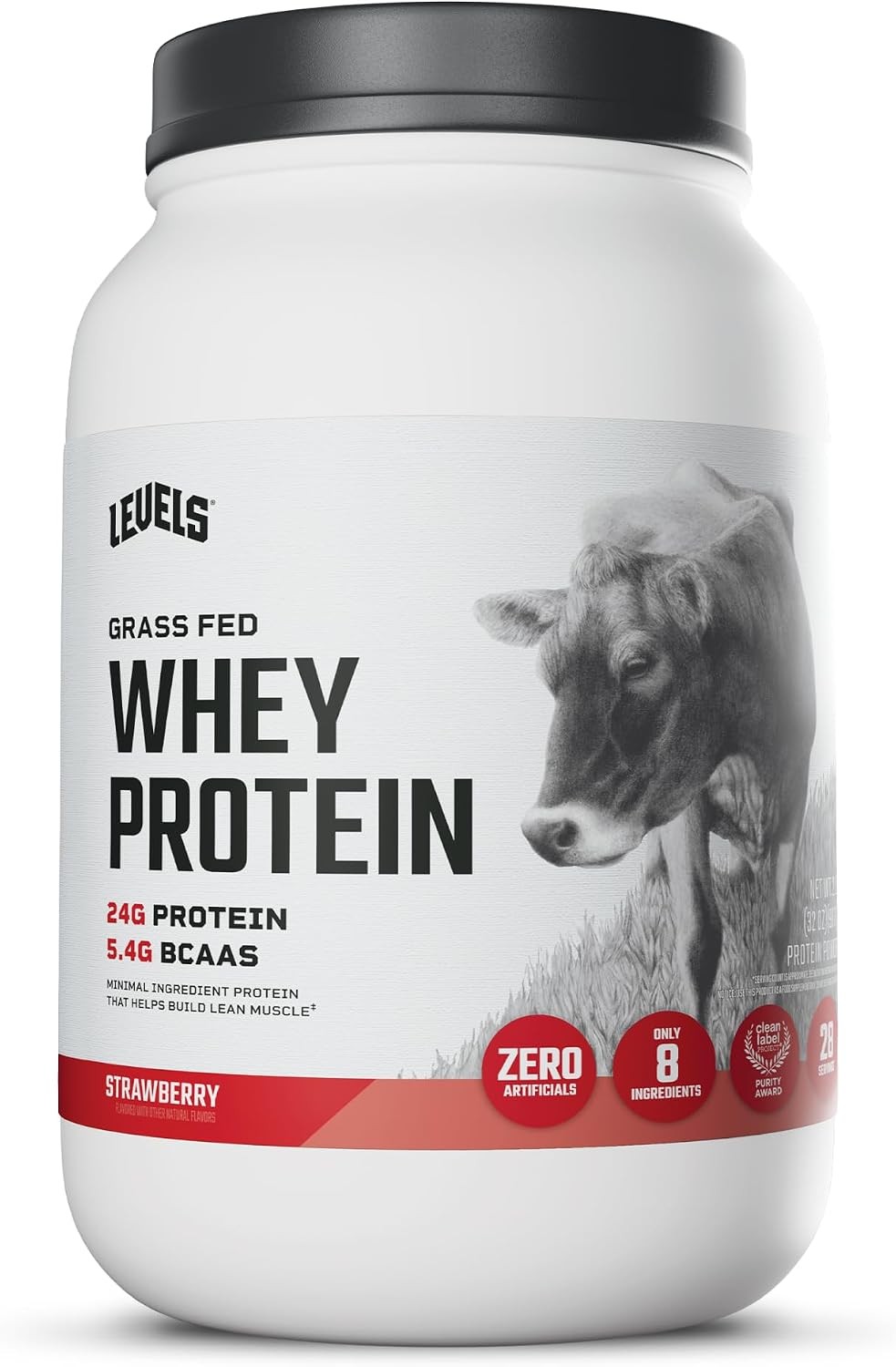 Whey Protein Powder 2LB Chocolate BCAA Clean No Sugar Proteina Suplemento