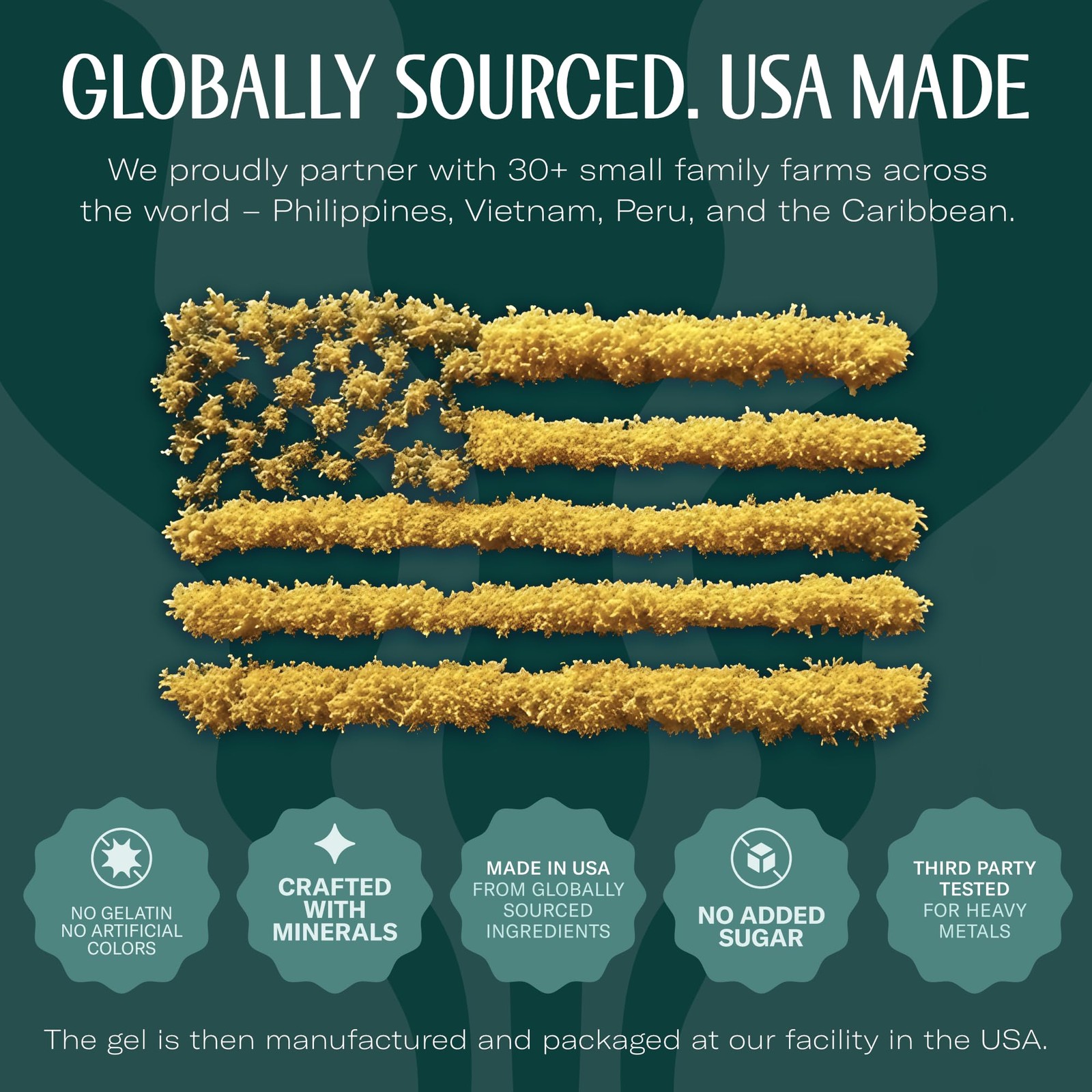 TrueSeaMoss Sea Moss Gel – Made in USA – Wildcrafted Seamoss, Fruits & Jarred…