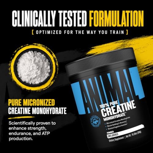 Creatine Monohydrate Powder 500g Micronized Unflavored Muscle