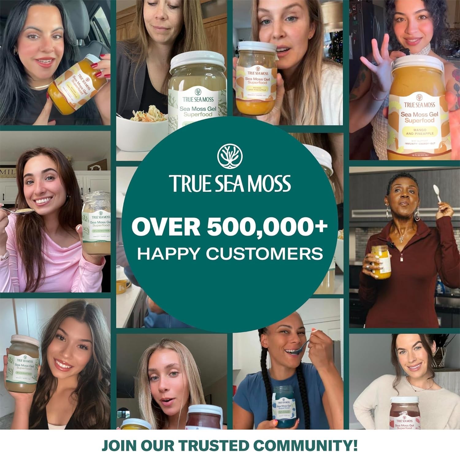 Sea Moss Gel – Made in USA – Wildcrafted Seamoss, Fresh Fruits & Jarred Veget…