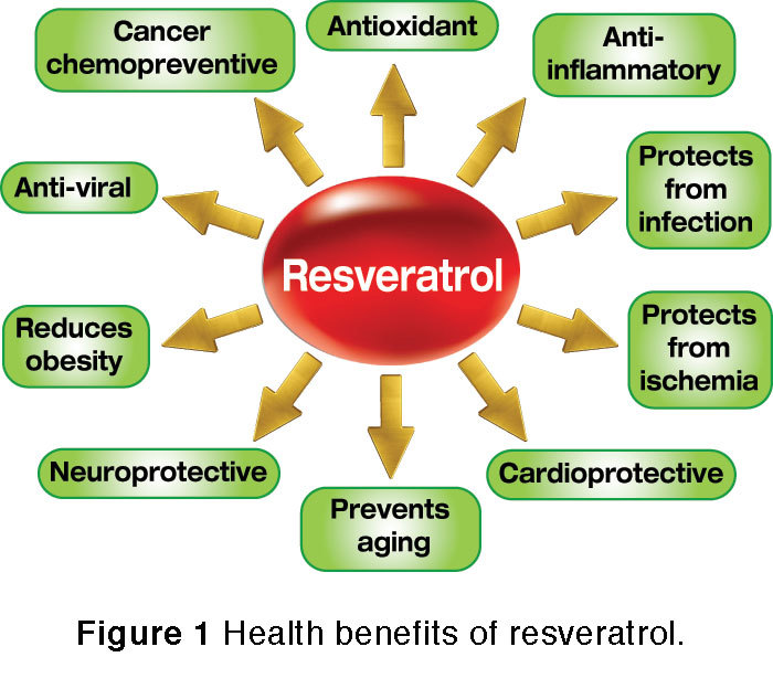 Antioxidant anti aging – RESVERATROL – EXTRACT GREEN TEA COMBO – green tea extra