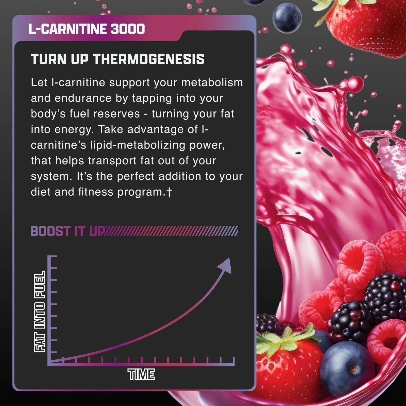 Nutrex Research Liquid Carnitine 3000 | Premium Liquid Carnitine, Stimulant…