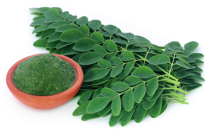 Moringa capsules – MORINGA OLEIFERA 1200 – cholesterol supplement – 3 Bot