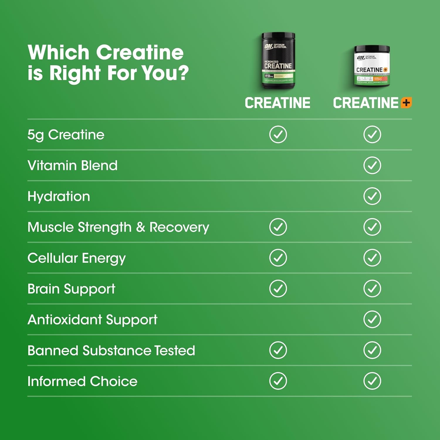 Optimum Nutrition Micronized Creatine Monohydrate Powder, Unflavored