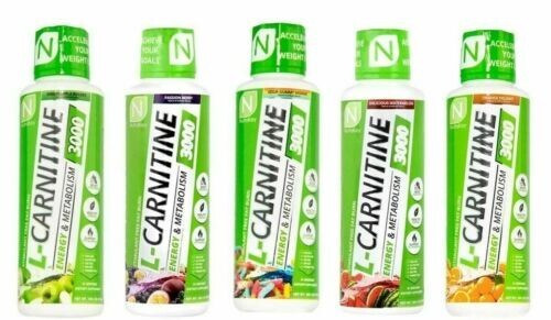 NutraKey L-Carnitine 3000mg 16oz, Turn Into Fuel, 31srv PICK FLAVOR