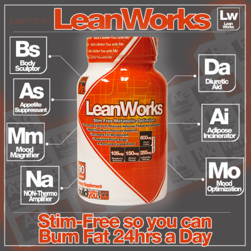 Muscle Elements LEAN WORKS Thermogenic Fat Burner Weight Loss – 90 capsules