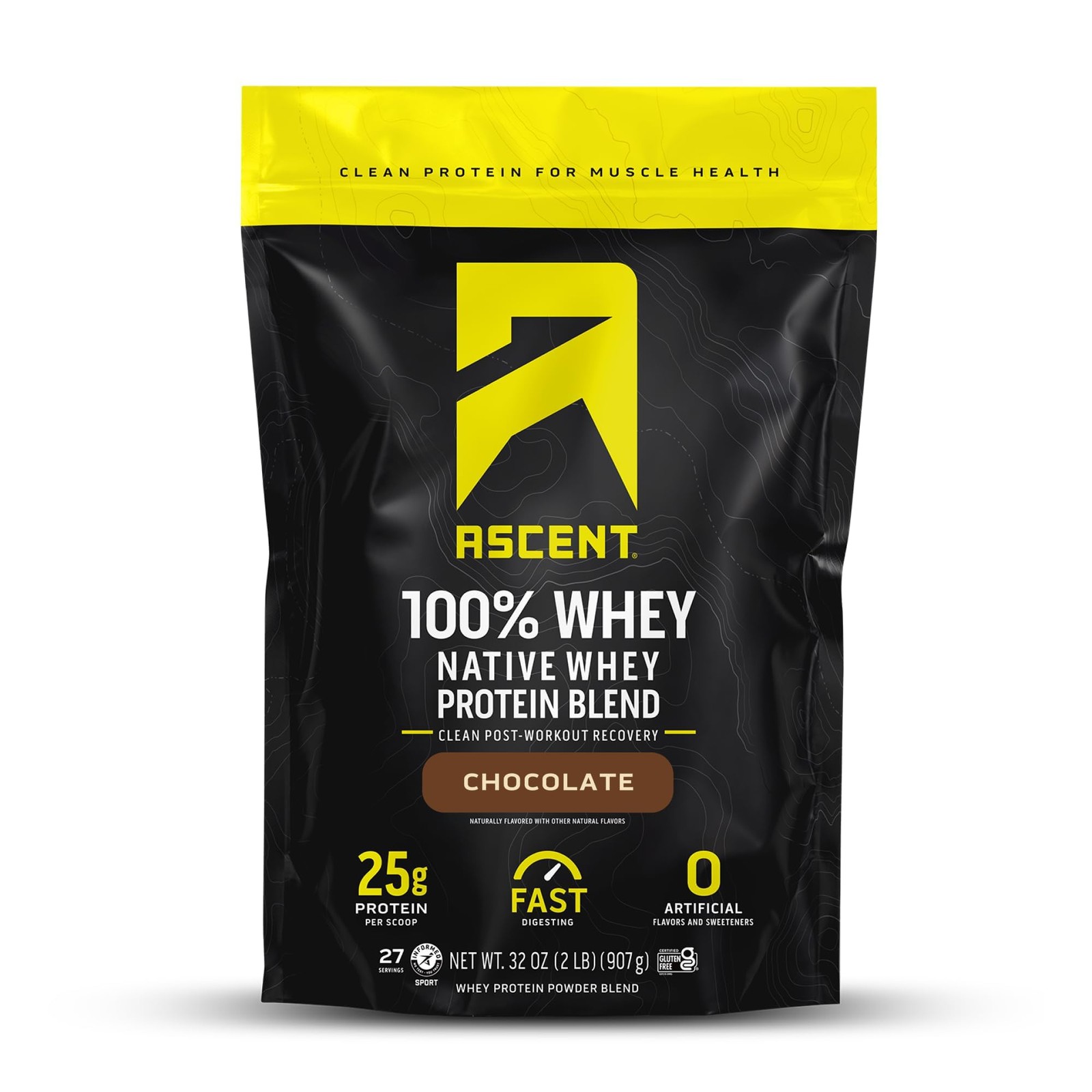 100% Whey Protein Powder – Post Workout Whey Protein Isolate, Zero Artificial Fl