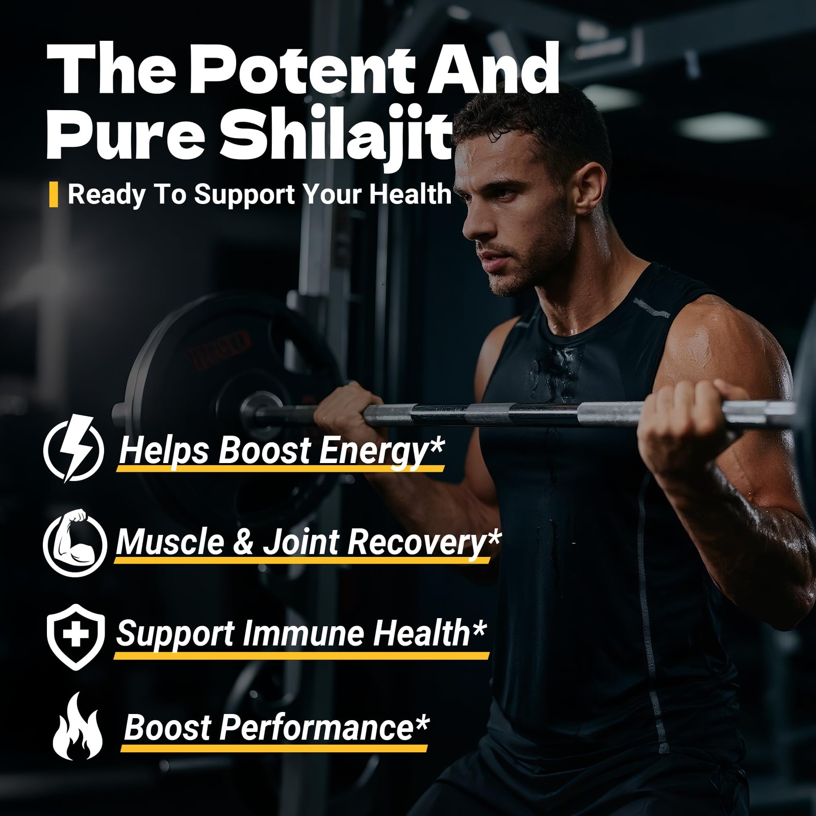Himalayan Shilajit Gummies for Men & Women –100% Natural Organic Gold Gummies…