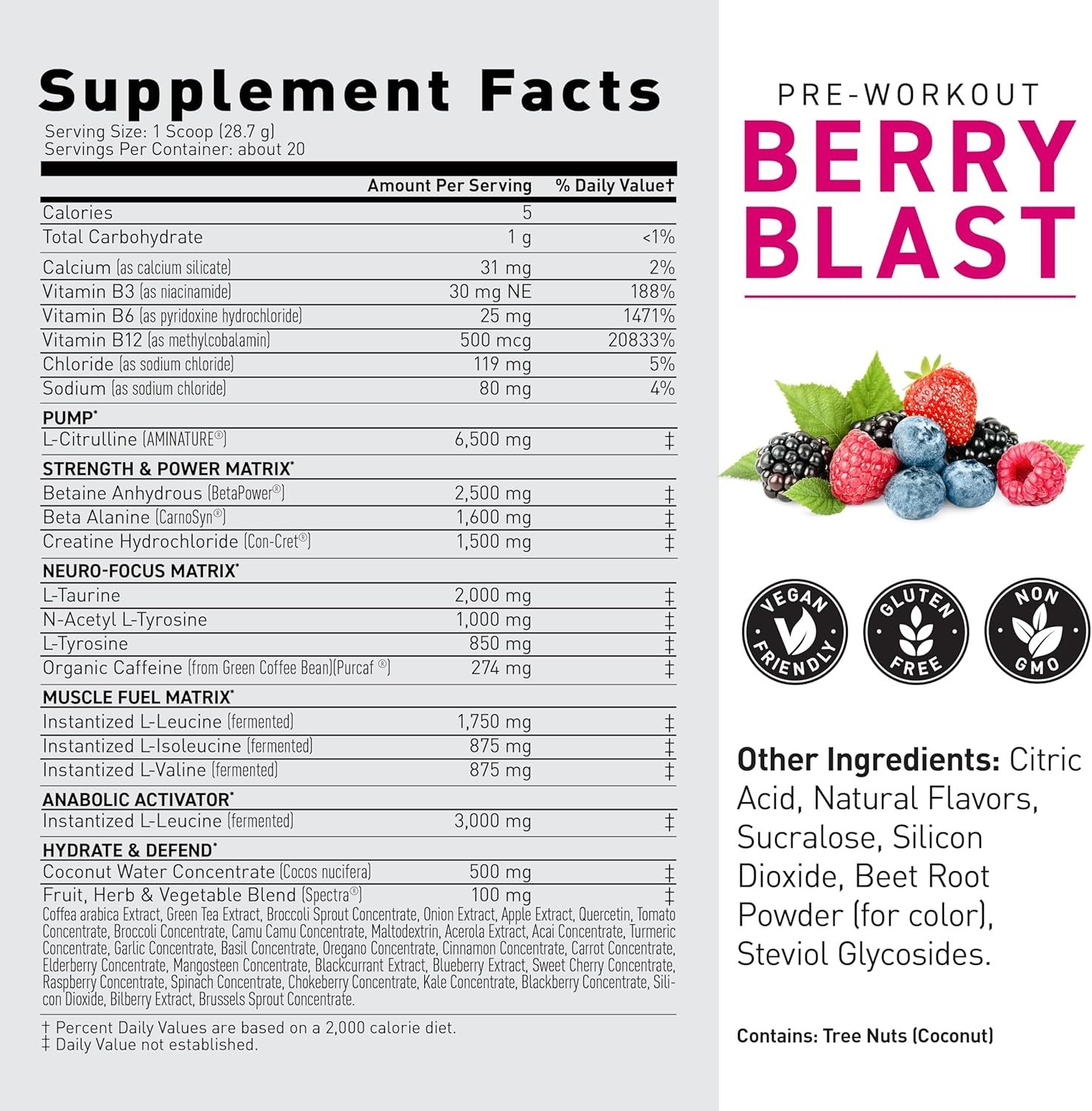 Powerful Pre Workout Formula with Creatine & Organic Caffeine – 20 Servings