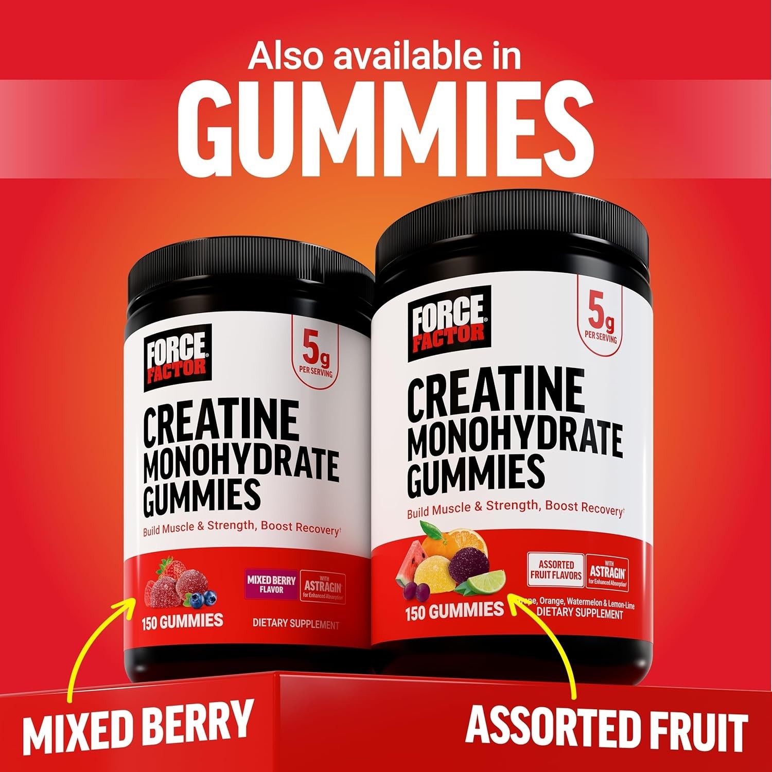Pure Creatine Monohydrate Powder: 5g Dose for Strength, Recovery & Brain Health
