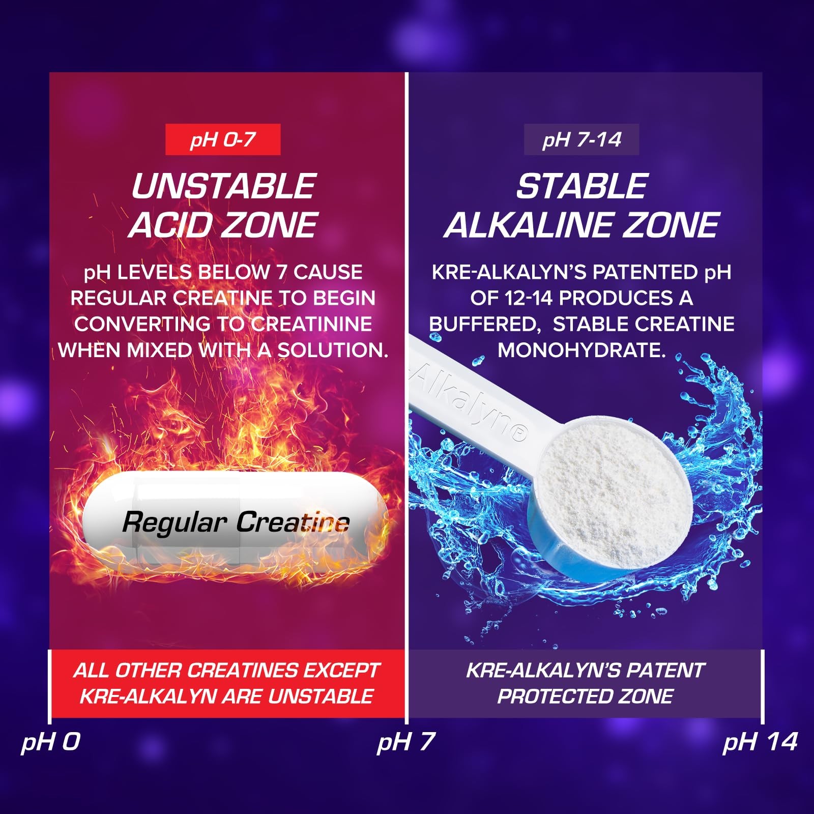 EFX Sports KreAlkalyn EFX Powder | pH Correct Creatine Monohydrate Powder Sup…