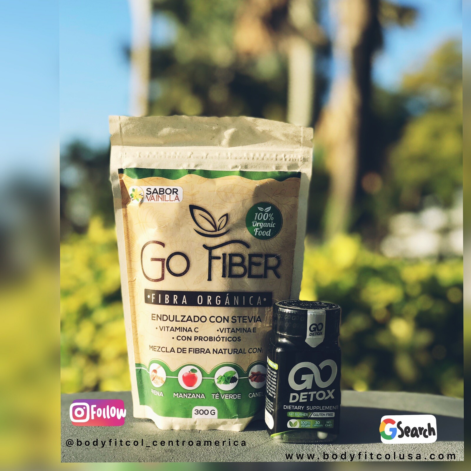 Go Detox O Gofit Red Fat Loss Suport X 2 Und- Pérdida De Grasa Y Energia Vegano