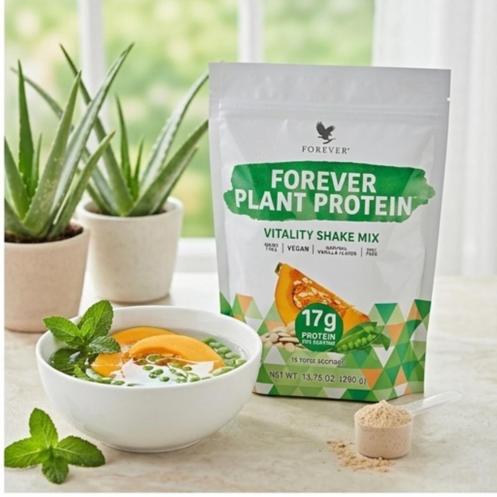 Forever Plant Protein Vegan Pea Pumpkin Powder 15 Servings Vanilla 13.7 oz