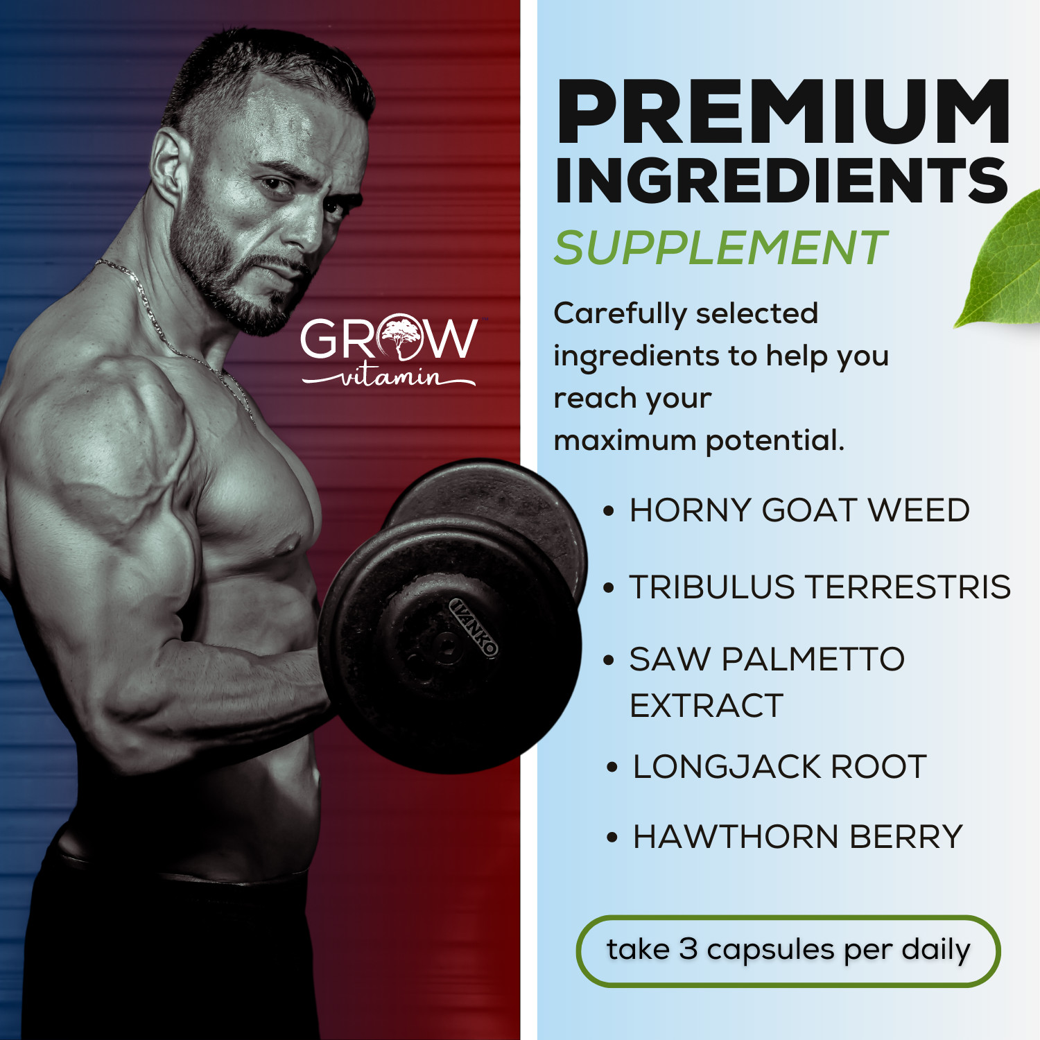 TEST BOOST Max Men Testosterone Strength Build Muscle Power Sex bOOst, 90 CAPS