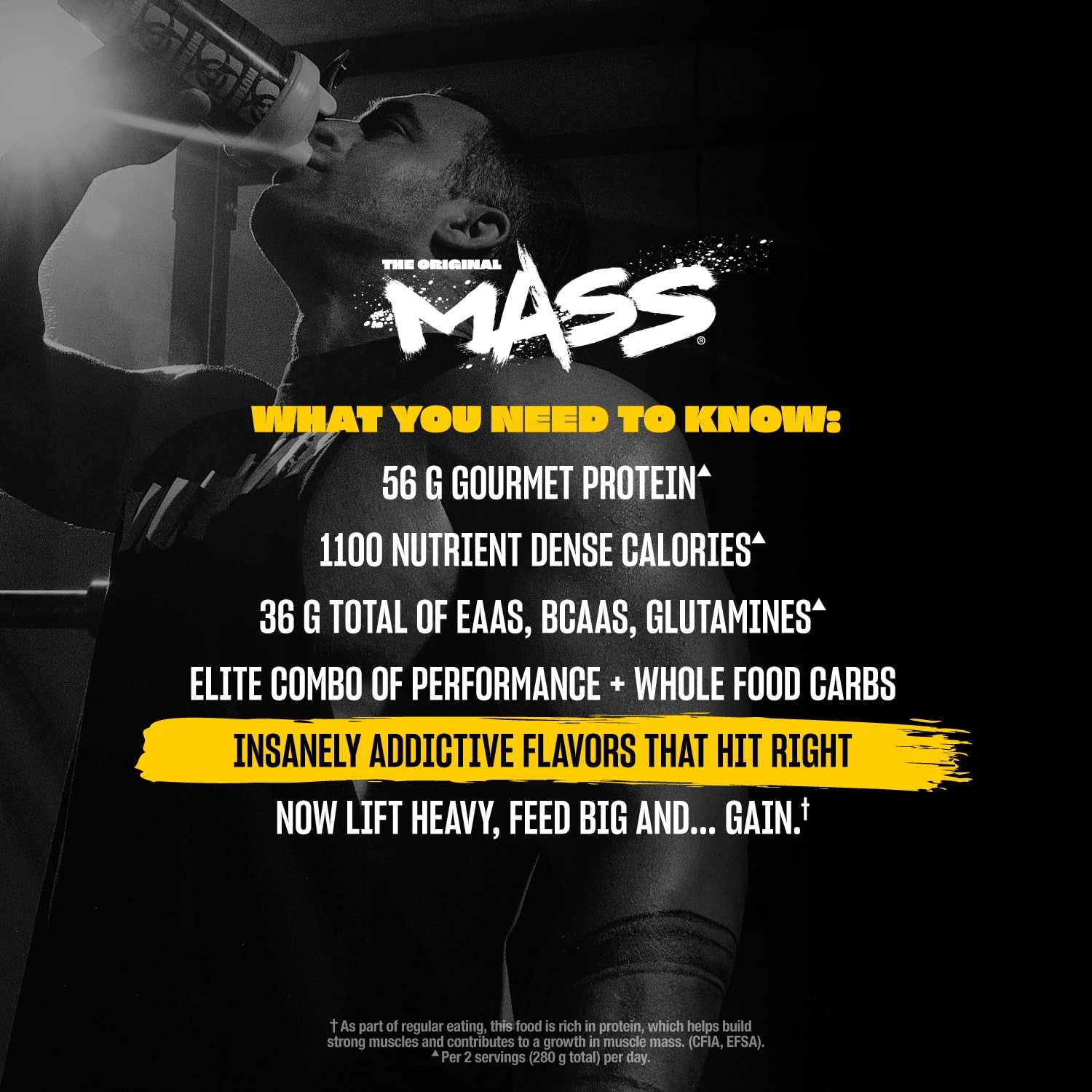 Mutant Mass Weight Gainer Protein Powder, Chocolate Fudge Brownie, 15 lb