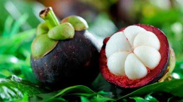 antioxidant – MANGOSTEEN EXTRACT – Acai, Noni, Pomegranate, and Goji 3 Bottles