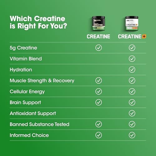 Creatine Monohydrate Powder Micronized 5g 60 Servings Unflavored