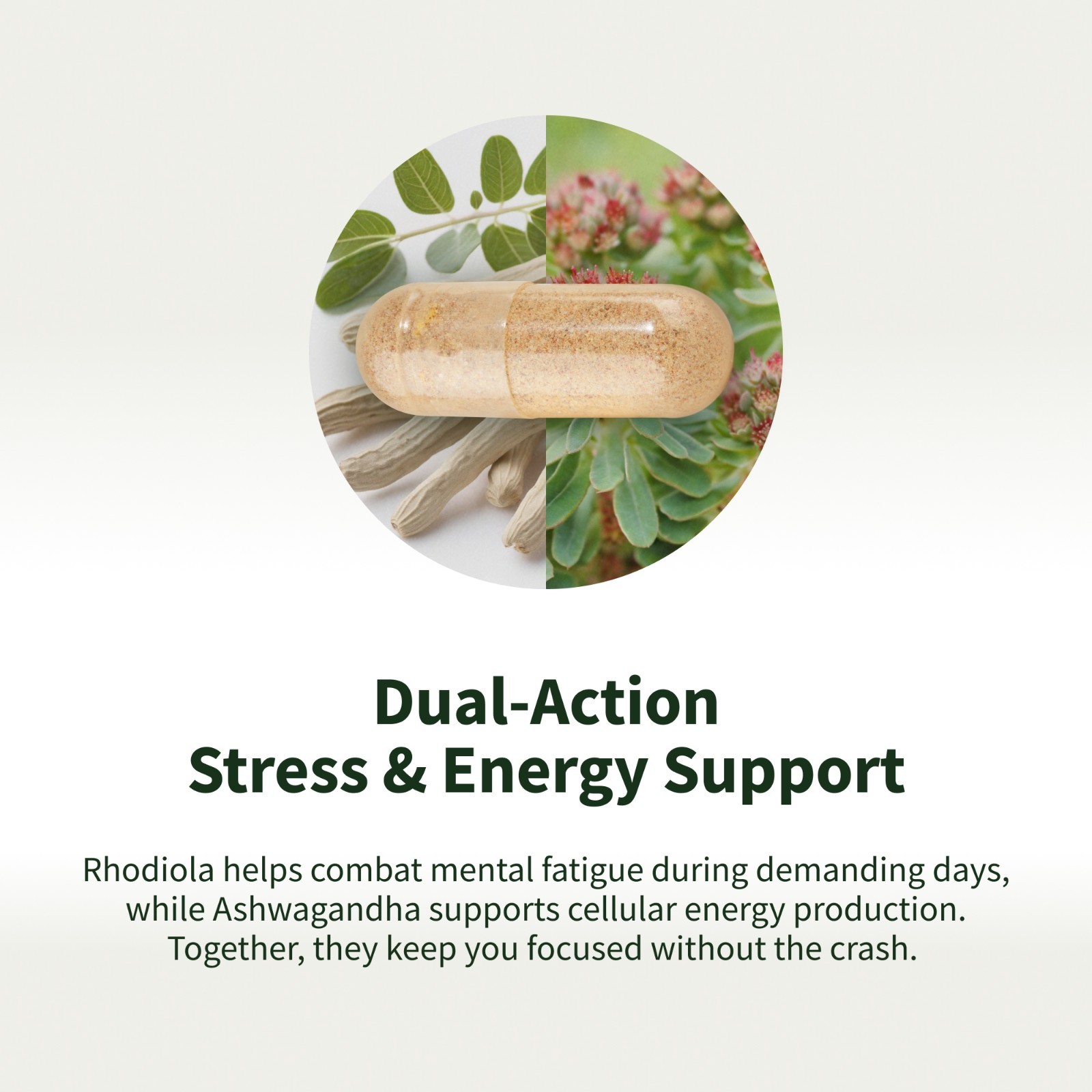 Energy Booster & Metabolism Weight Loss Support, Stress Relief, Fatigue, 2-Pack
