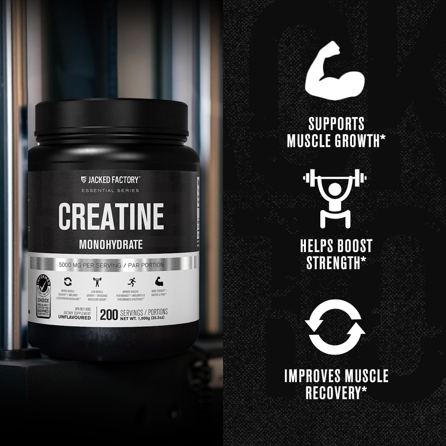 Creatine Monohydrate Powder 1000g – 5g Daily Creatine Supplement for Men and Wom