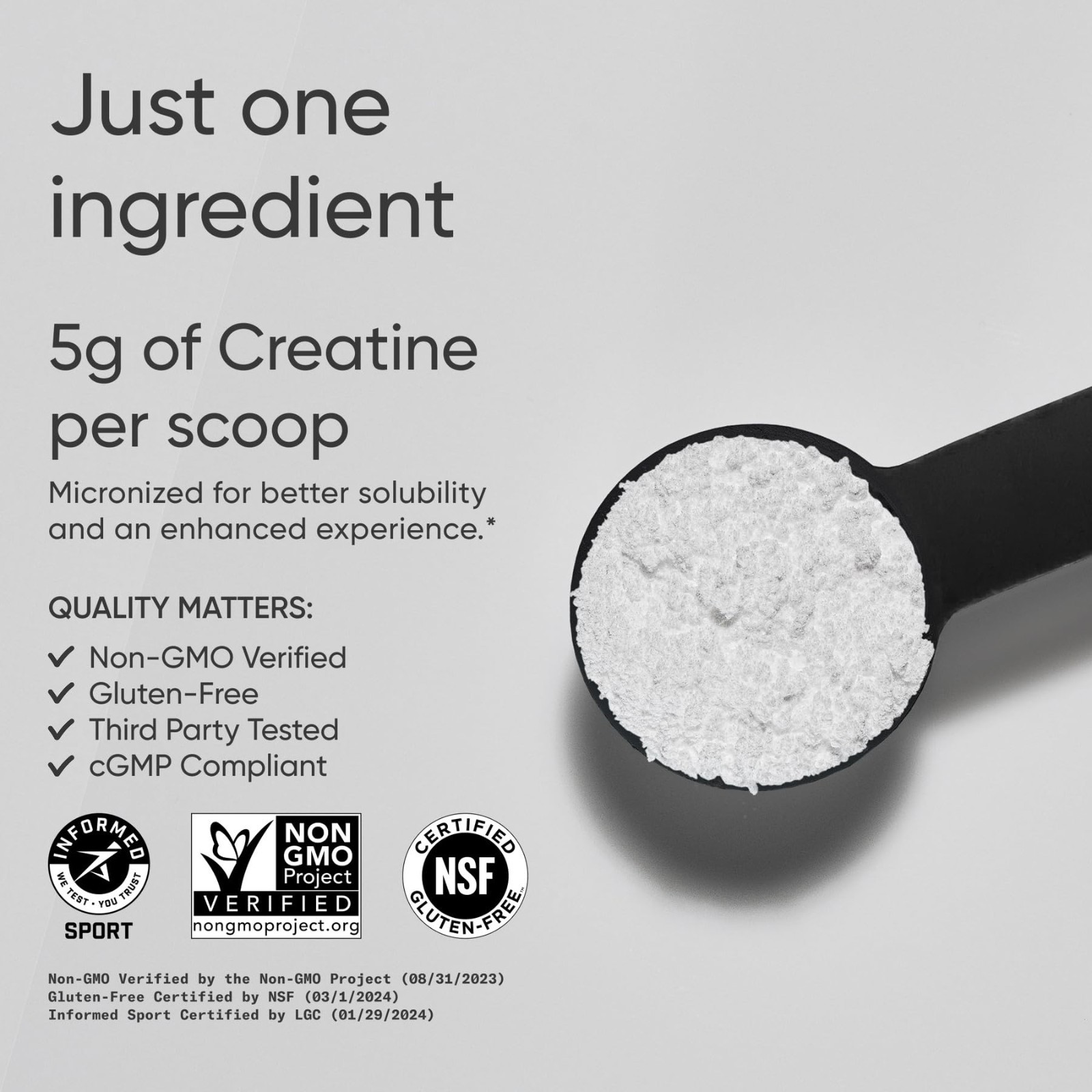 Creatine Monohydrate Powder 5g – Unflavored, 100 Servings | Micronized for Muscl