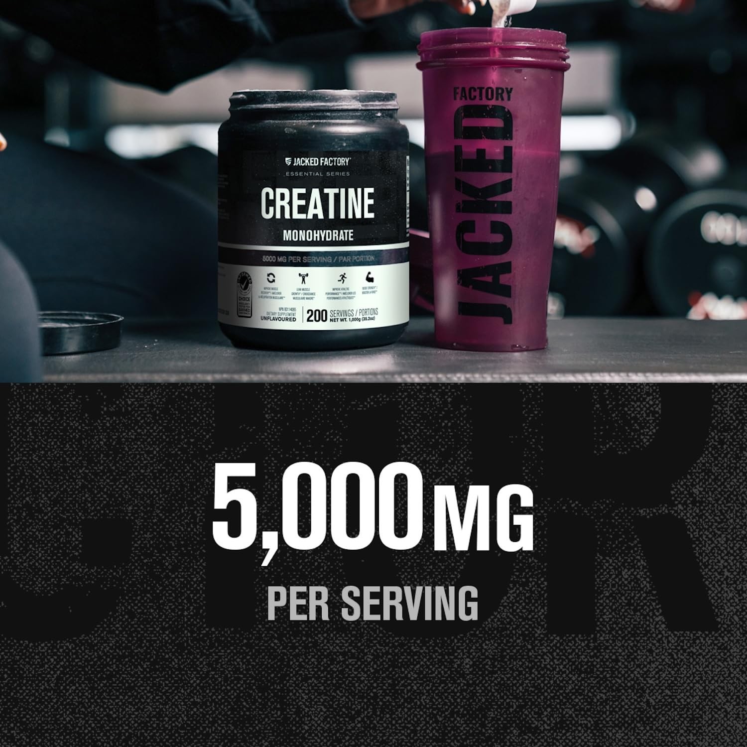 Creatine Monohydrate Powder 1000g – 5g Daily Creatine Supplement for Men and Wom