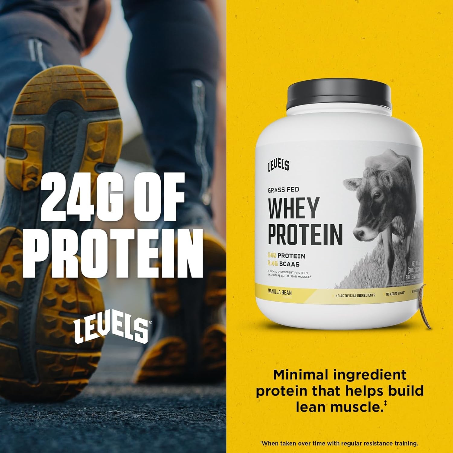 Levels Grass Fed Whey Protein Powder, No Artificials, 24G 5 Pound (Pack of 1)