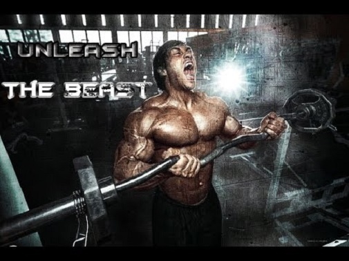 Maca Root Extract – UNLEASH YOUR WOLF – Testosterone Booster – 360 Capsules