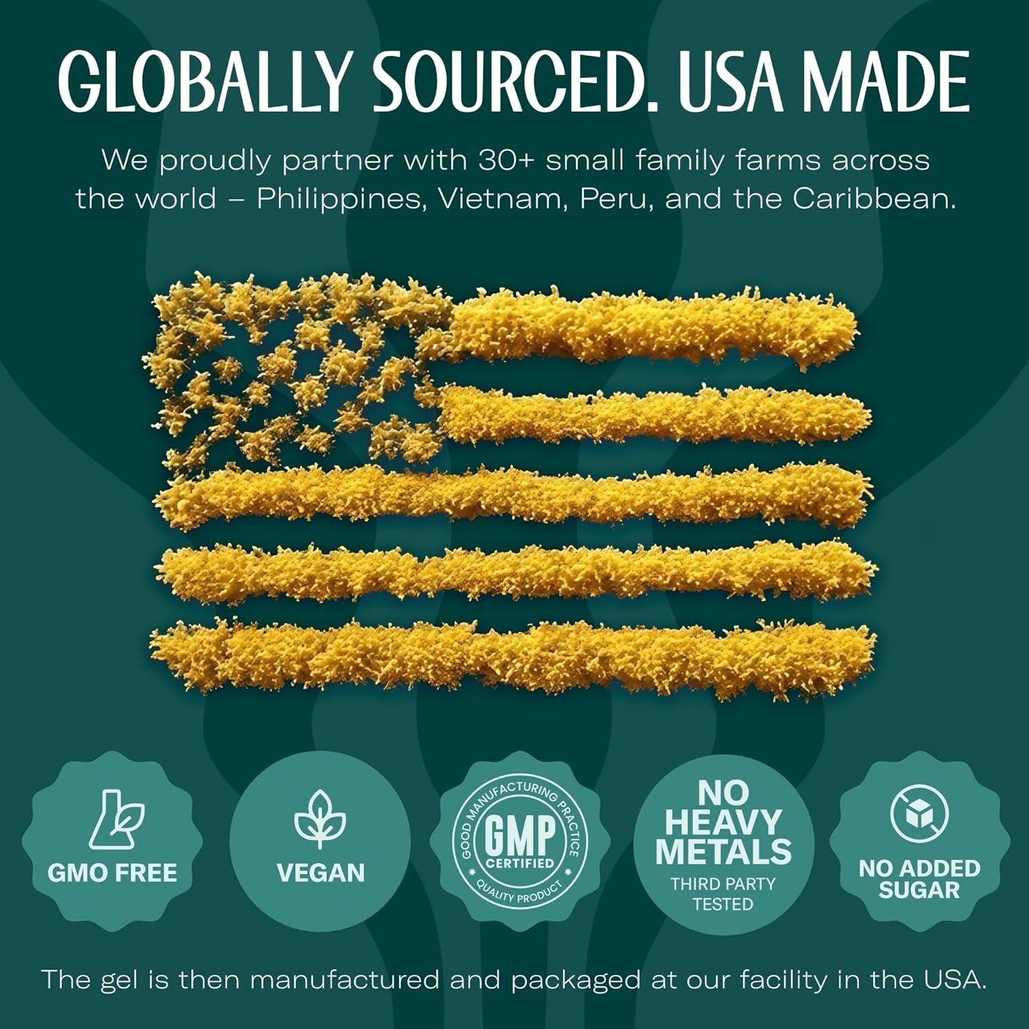 Sea Moss Gel – Made in USA – Wildcrafted Seamoss, Fresh Fruits & Jarred Veget…