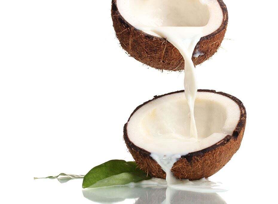 Creamy Coconut Milk Powder – Organic