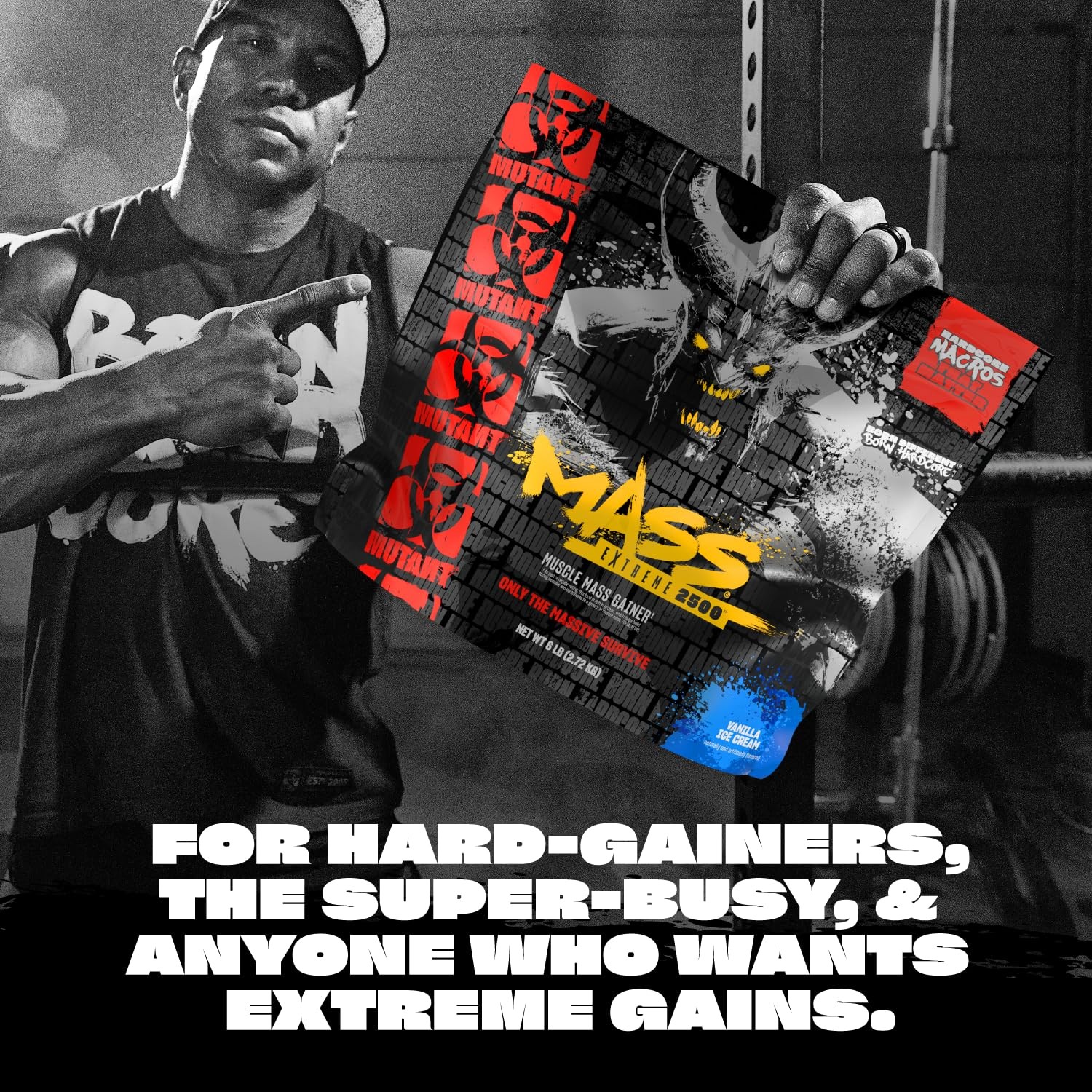 Mass Gainer Whey Protein Powder 2500 High Calorie Triple Chocolate 6 lbs