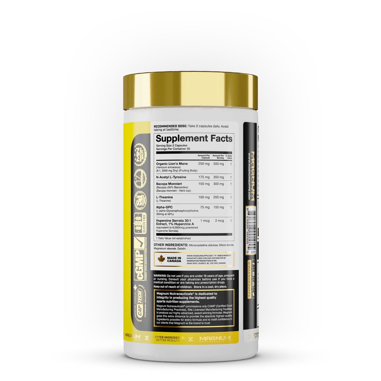 Magnum Nutraceuticals Mane Brain Nootropics Lion’s Mane Theanine 02/2026EXP