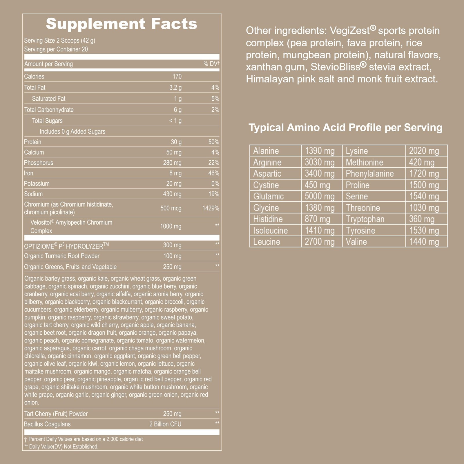 Vegan Sport Protein Powder Vanilla – 30g Plant Based Protein, VELOSITOL, BCAAs,