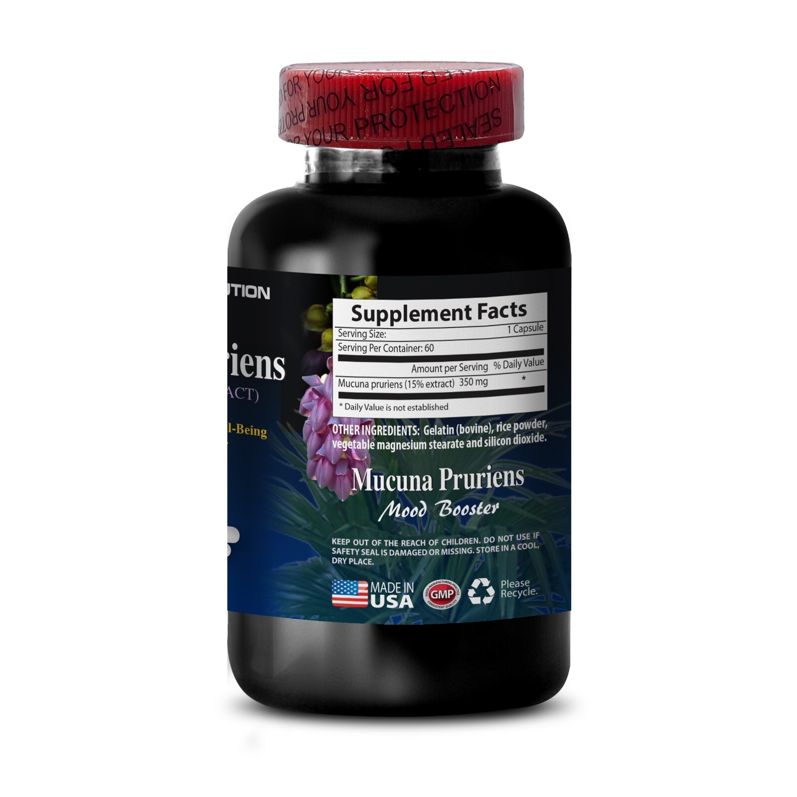 Brain Supplement MUCUNA PRURIENS VELVET BEANS EXTRACT (6 Bottles)