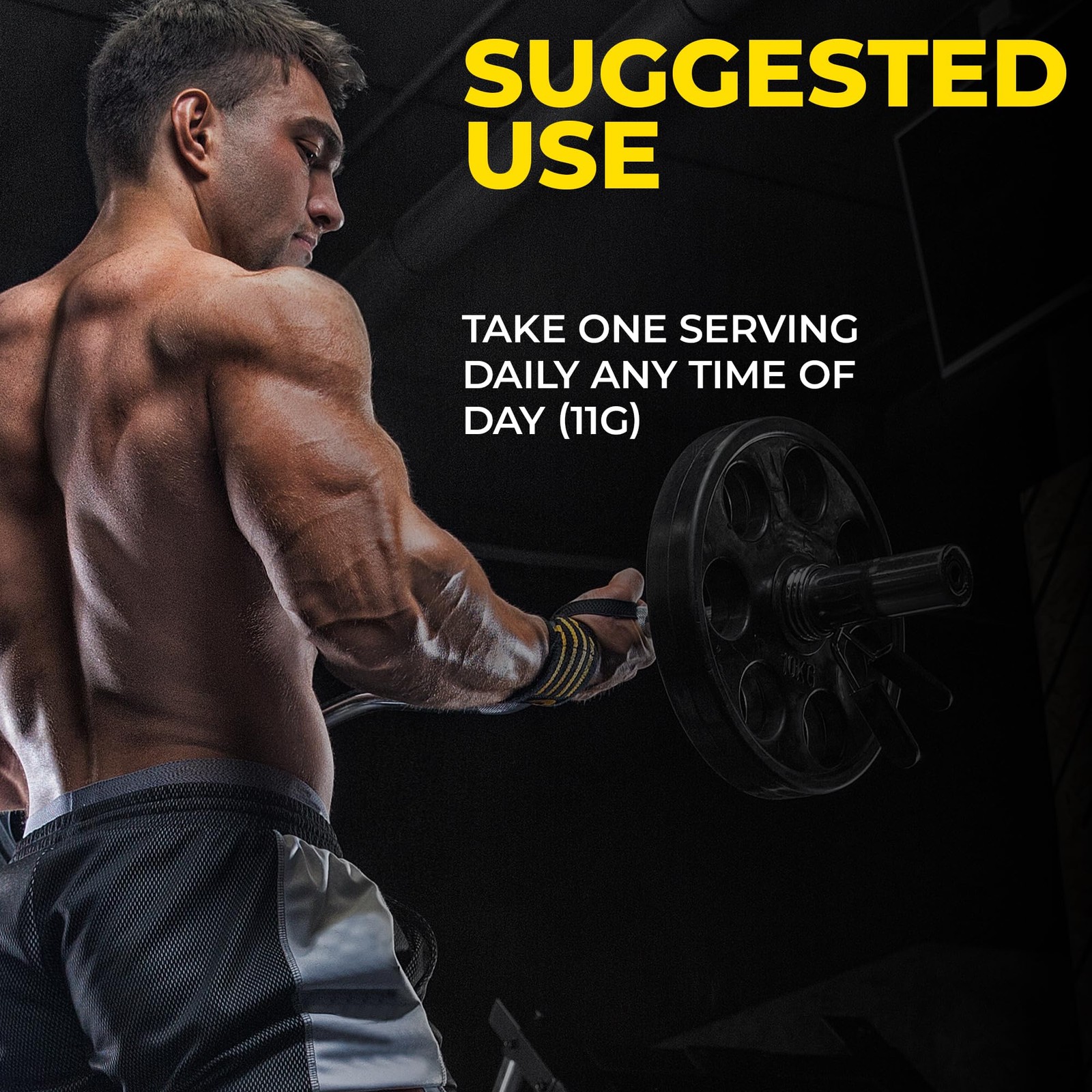 L-CREATINE Supplement: Creatine Monohydrate w/Leucine Amino Acid and HMB – Su…