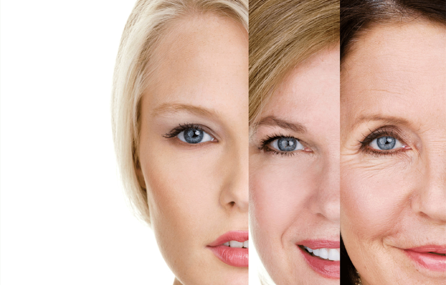 Super antioxidant RESVERATROL SUPREME ANTIOXIDANT Reduces oxidative stress 1B