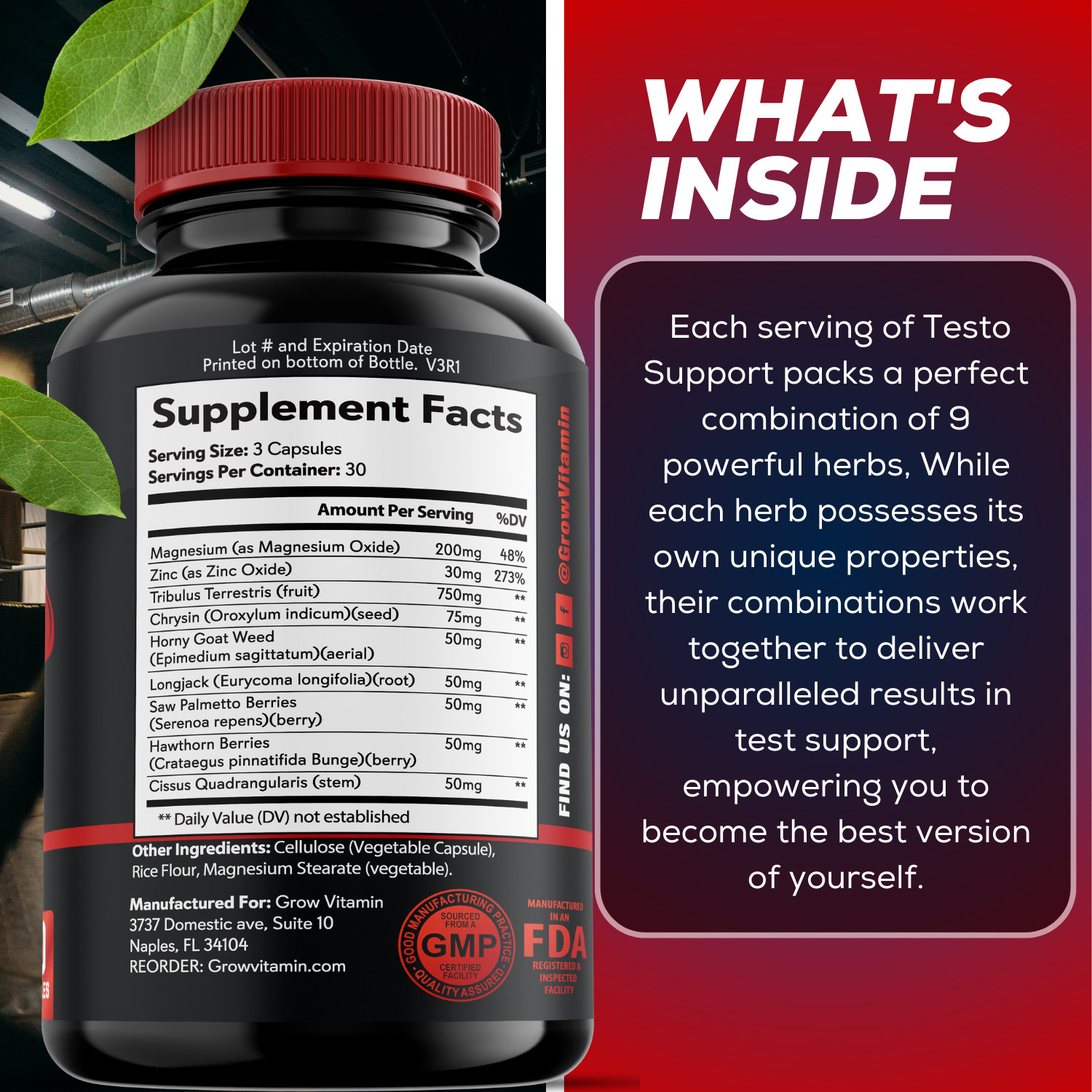 TEST BOOST Max Men Testosterone Strength Build Muscle Power Sex bOOst, 90 CAPS