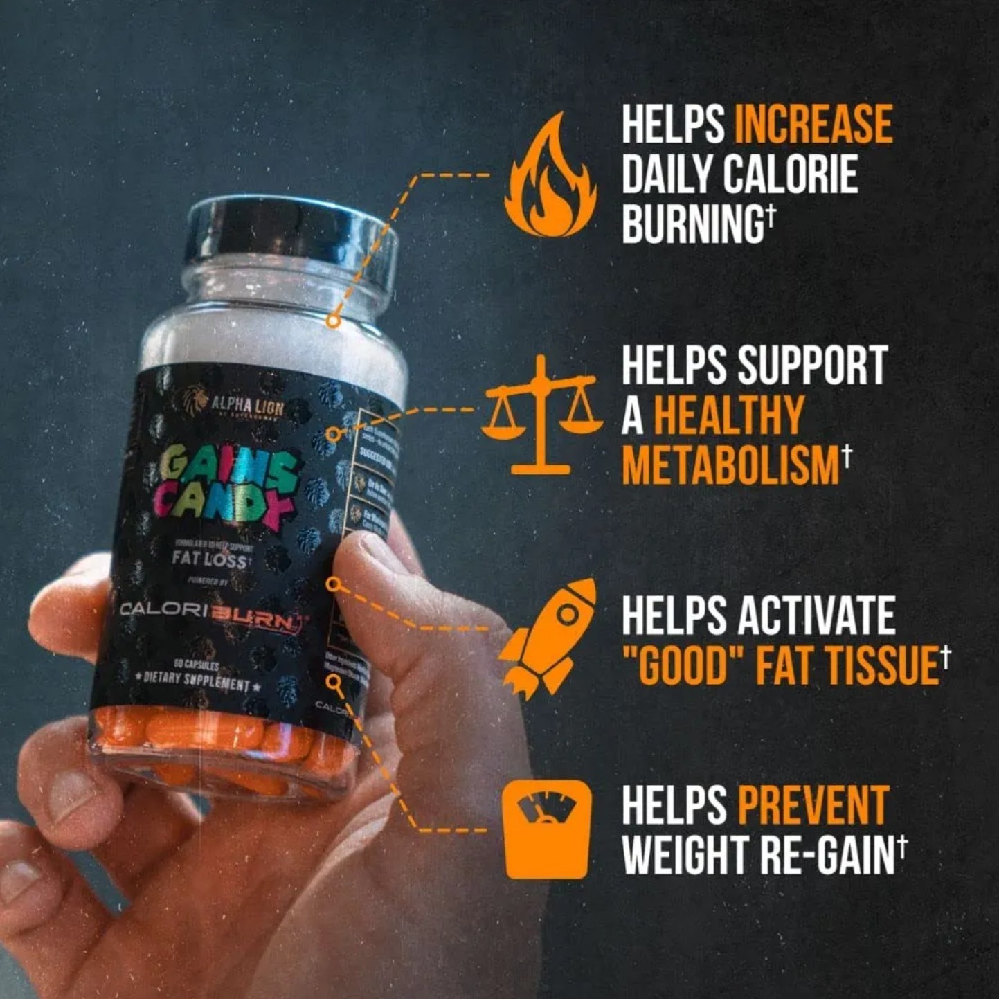 Alpha-Lion GAINS CANDY Fat loss CALORIBURN 60 Capsules ( 30 Serv ) BEST BY 11/26