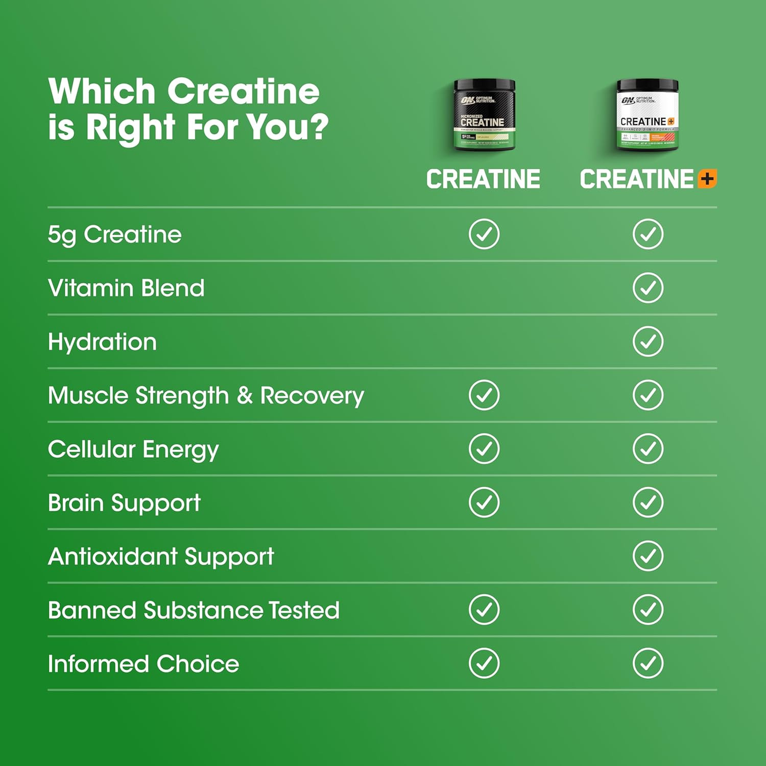 Micronized Creatine Monohydrate Powder Unflavored 60 Servings 300 Grams