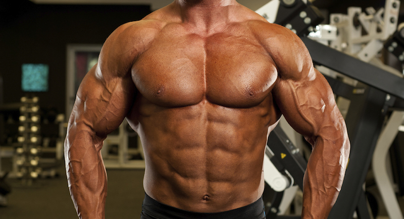 Faster Recovery – MUSCLE MAKER PLUS – Increases Muscle Mass 3B