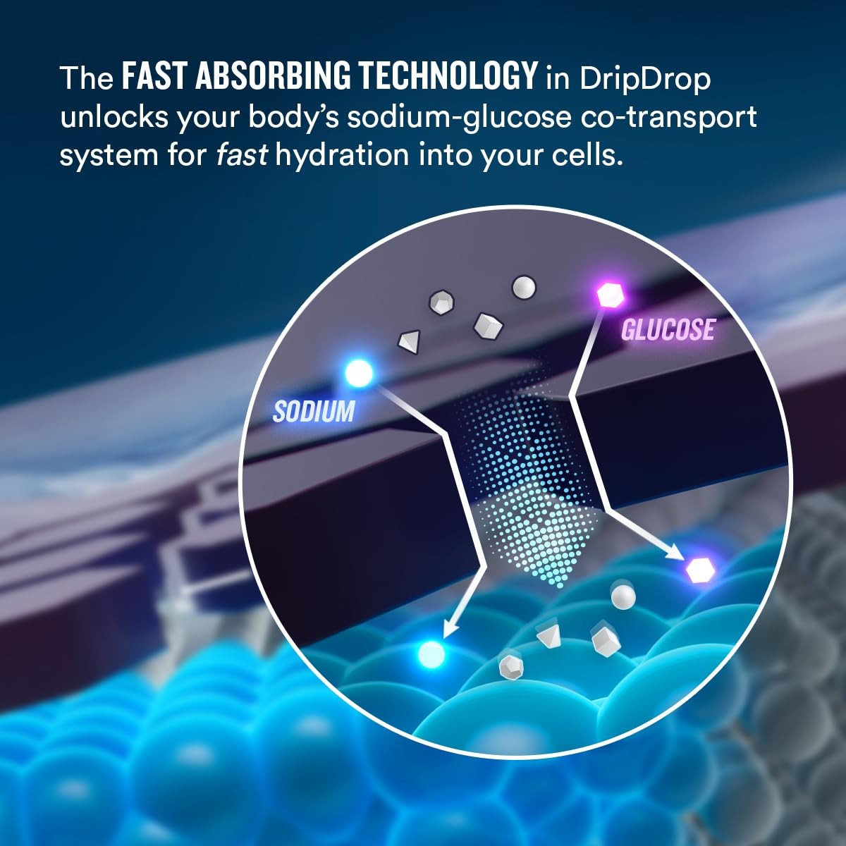 Dripdrop – – Electrolytes Powder Drink Mix –