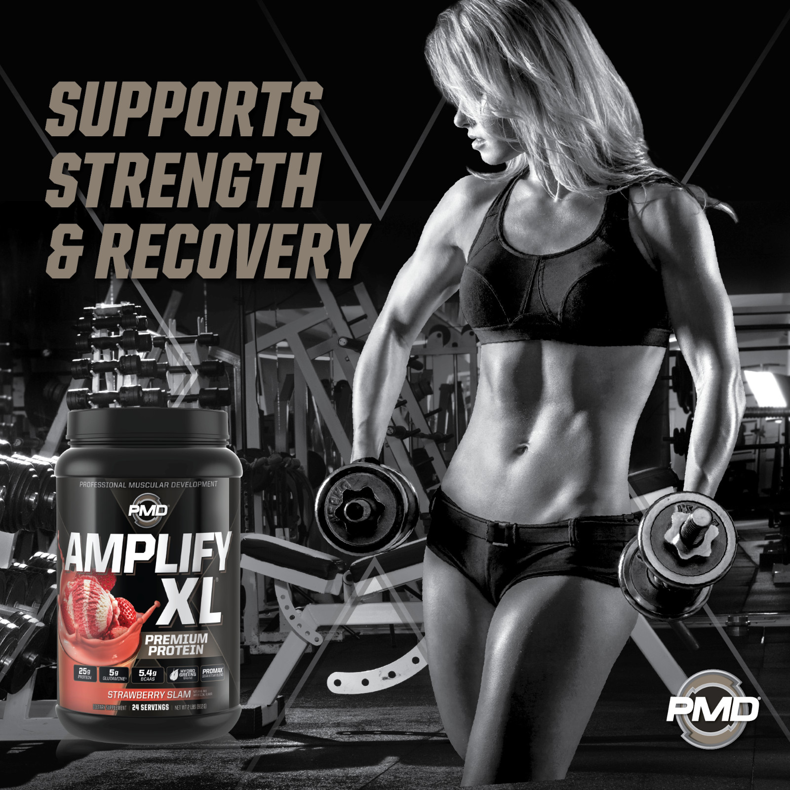 AMPLIFY XL Protein Matrix – Strength & Recovery – Strawberry Slam (24 Servings)