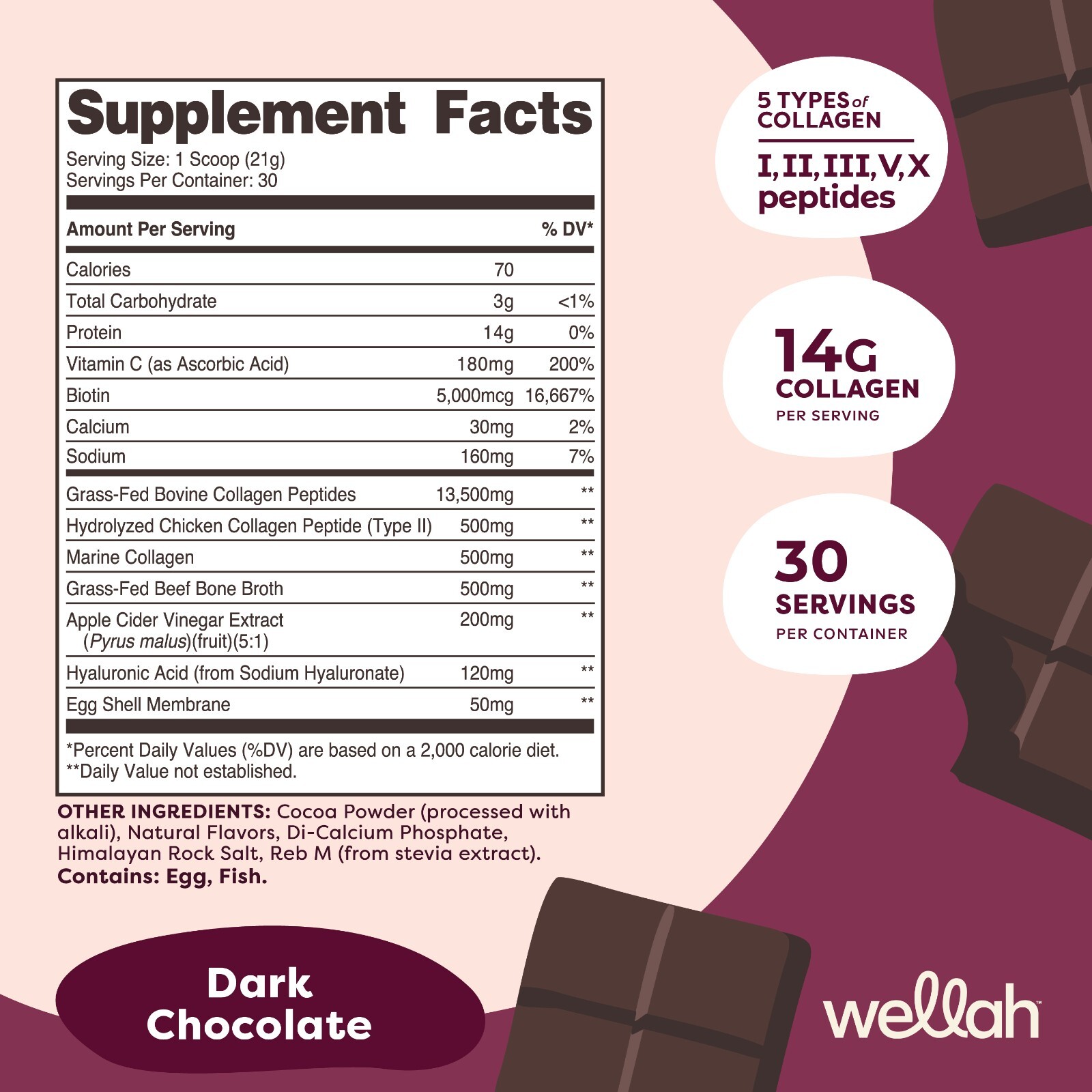 Wellah The Afterglow Multi Collagen Protein + Beauty (Dark Chocolate Flavored)