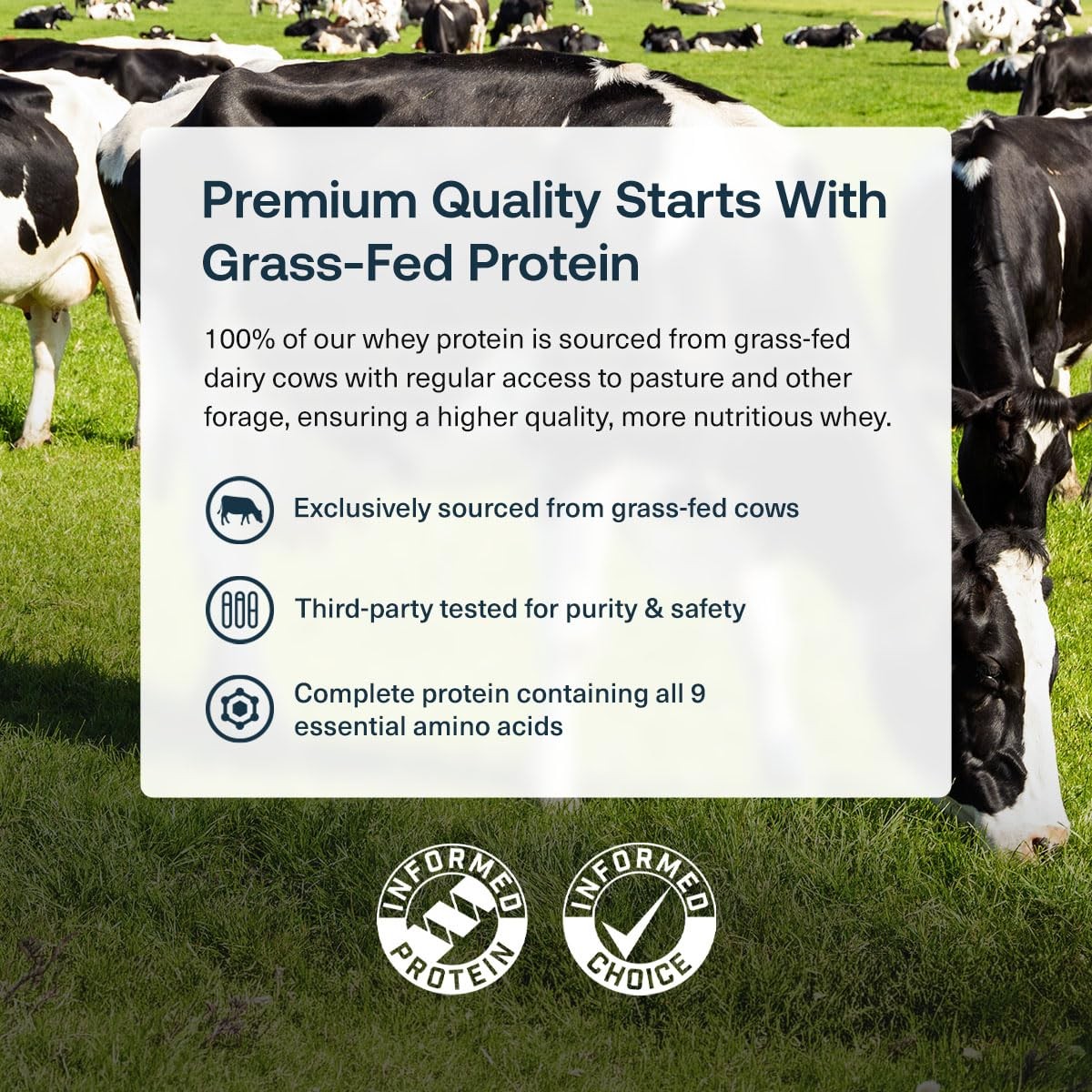 Grass-Fed Whey Protein Isolate – Naturally Flavored, Gluten Free Whey Protein Po