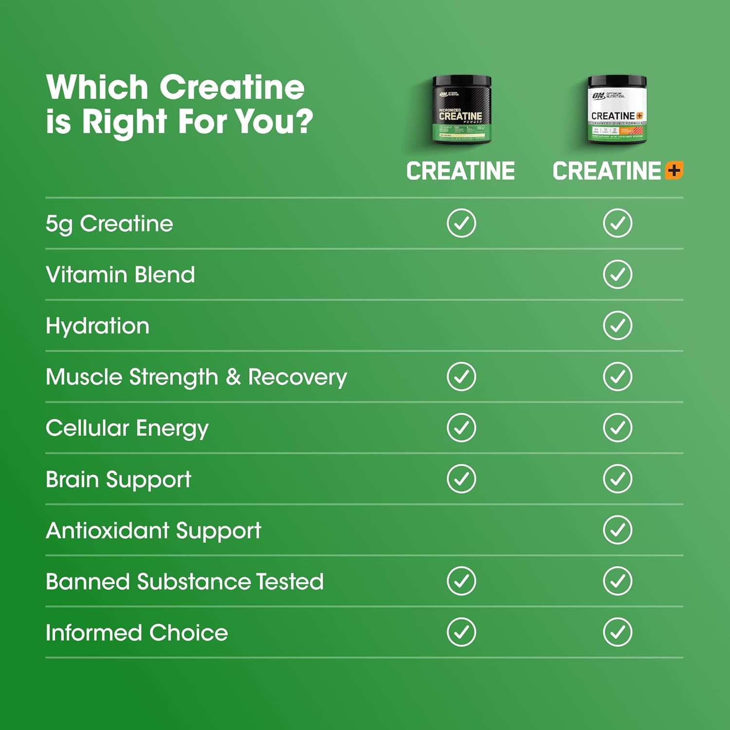 Micronized Creatine Monohydrate Powder Unflavored 600g 120 Servings