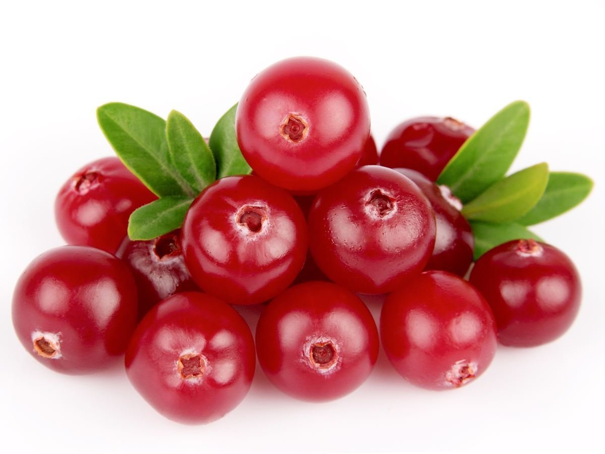 antioxidant anti aging – CRANBERRY CONCENTRATED EXTRACT 50:1 3B – cranberry flav