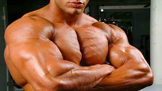 Testosterone Booster 742 Potency Tonic, Muscle Building for Male and Female NEW