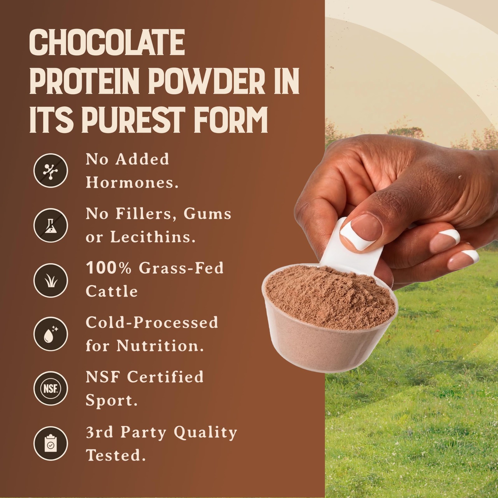 100% Grass Fed Whey Chocolate Protein Powder – Only Four Ingrediants, Absolut…
