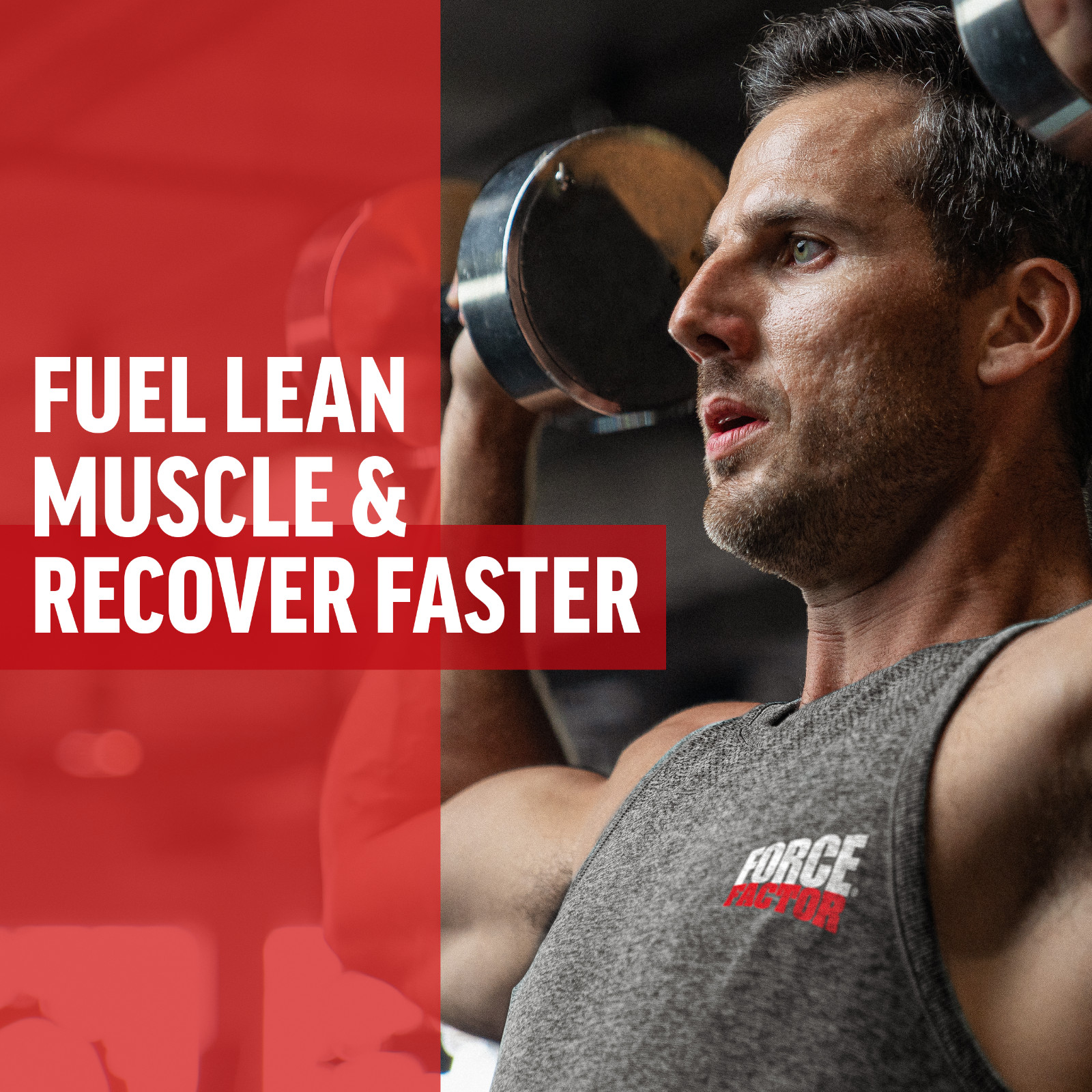 FORCE FACTOR BCAA Powder 2:1:1 ratio, Amino Acid Supplement, 30 Servings