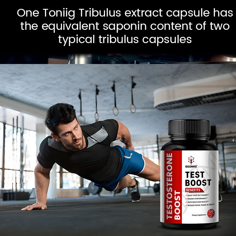 TEST BOOST Max Men Testosterone Strength Build Muscle Power Sex bOOst, 120 CAPS
