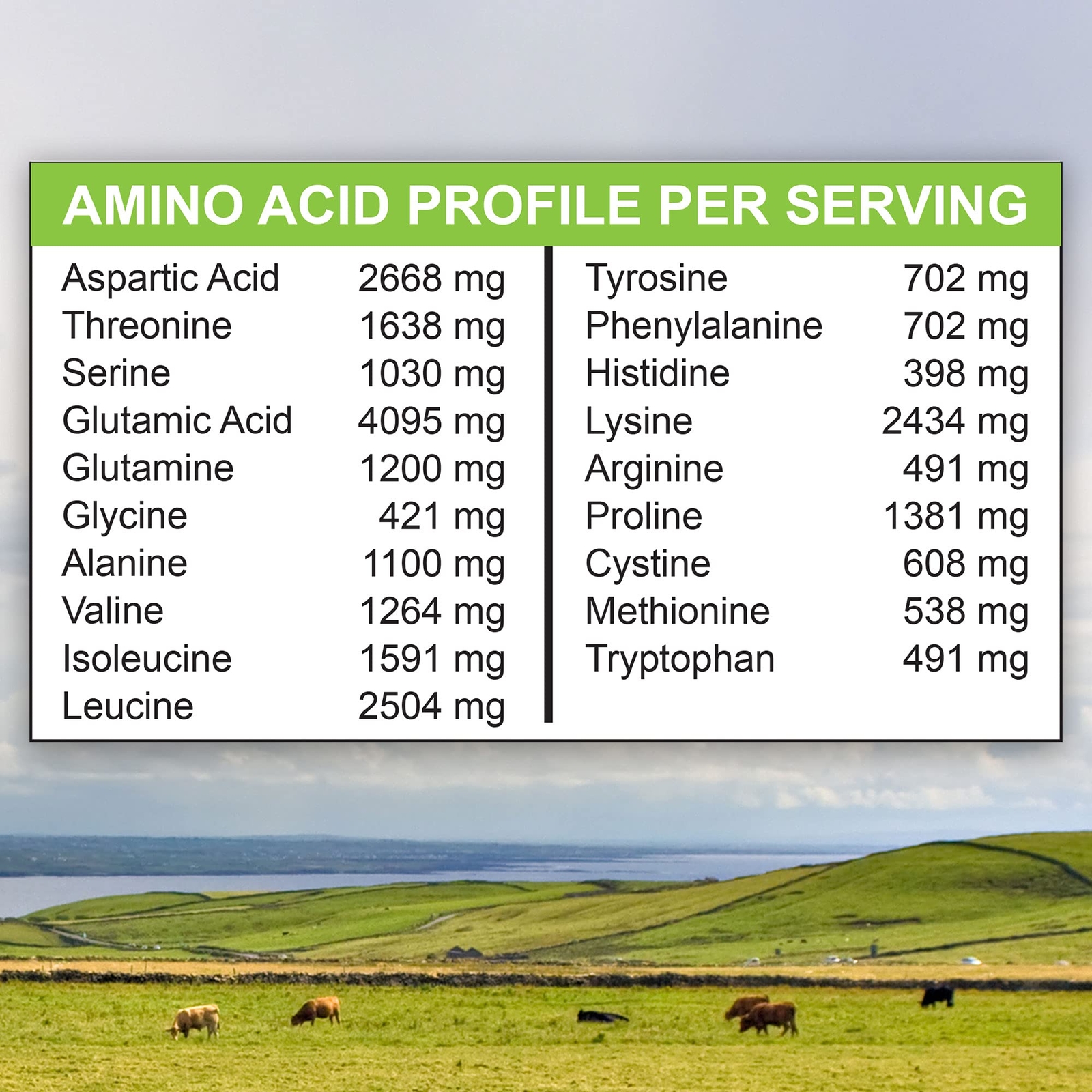 MariGold Grass-fed Whey Protein Isolate Powder – Rich Chocolate Malt Flavor -…